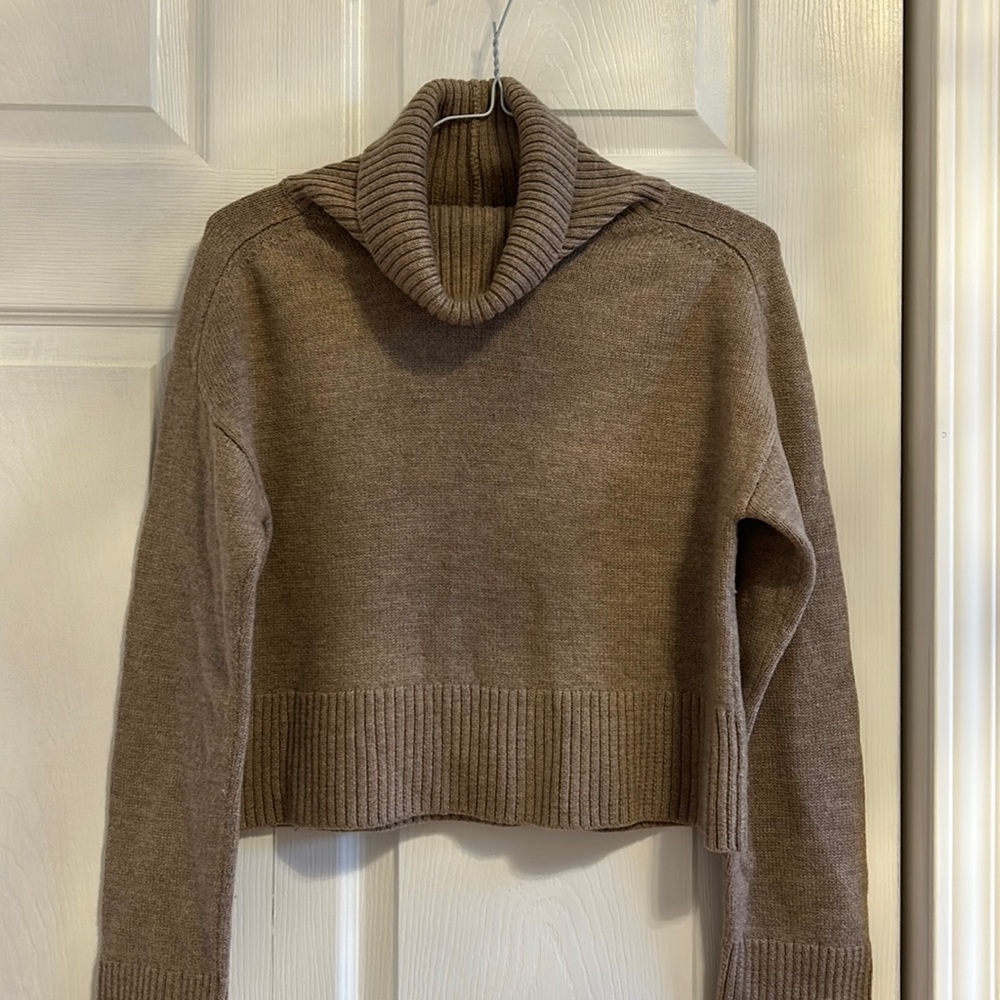 Babaton turtleneck